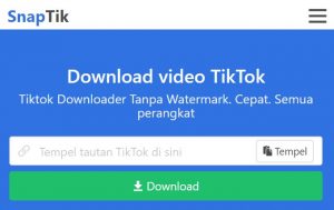 Download Video TikTok