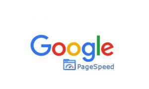 Page Speed Insight